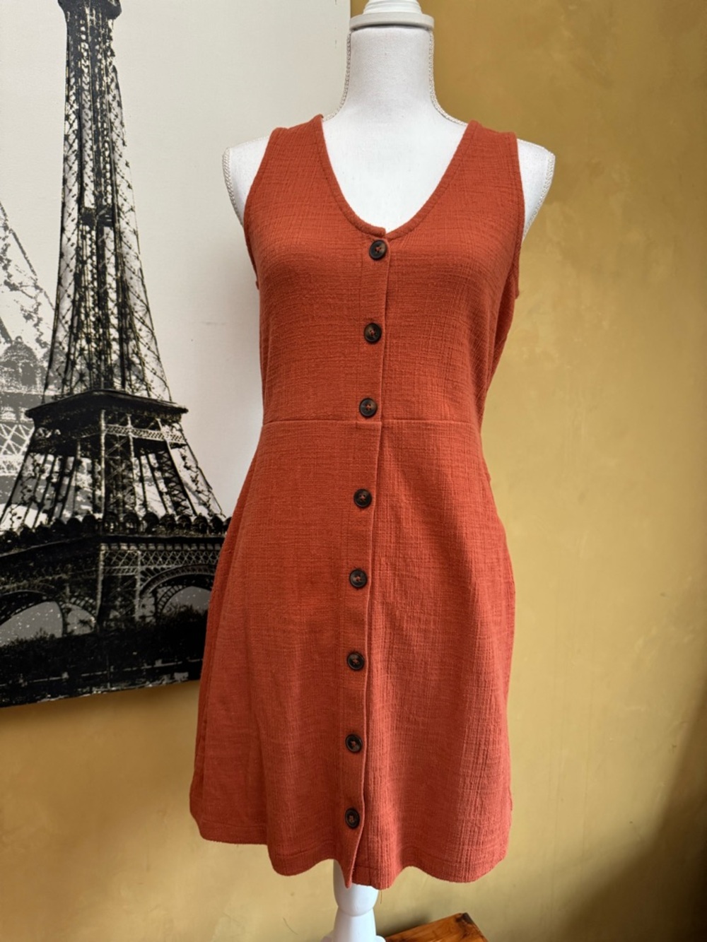 Madewell Rust Button-Front Sleeveless Mini Dress